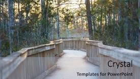  Presentation with swamp - Slide set featuring biome - boardwalks in the swamp background and a light gray colored foreground