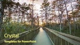  Presentation with swamp - Audience pleasing PPT layouts consisting of biome - boardwalks in the swamp backdrop and a tawny brown colored foreground