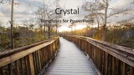  Presentation with swamp - Amazing slide set having biome - boardwalks in the swamp backdrop and a lemonade colored foreground