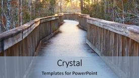  Presentation with swamp - Colorful presentation design enhanced with biome - boardwalks in the swamp backdrop and a light blue colored foreground