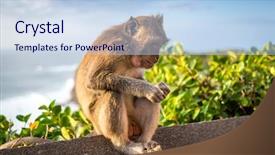  Presentation with bali temple - Theme enhanced with the temple of uluwatu background and a light blue colored foreground