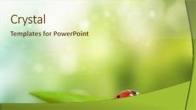  Presentation with animal reproduction - Presentation theme enhanced with the time of reproduction background and a soft green colored foreground