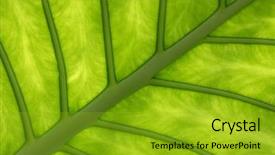  Presentation with green abstract - PPT layouts with the underside abstract background background and a gold colored foreground