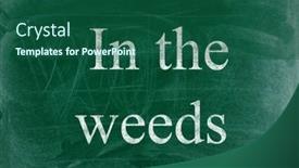 Presentation with weeds - Slides featuring the-weeds-business-phrase-written background and a ocean colored foreground
