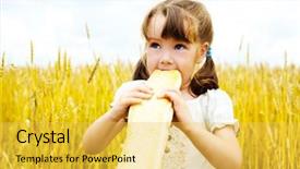  Presentation with summer wheat field blue - Presentation theme having the wheat field eating background and a  colored foreground