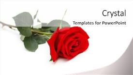  Presentation with portfolio - Cool new presentation theme with the white background - more backdrop and a white colored foreground