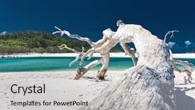  Presentation with white sand - PPT layouts enhanced with the whitsunday islands queensland background and a light gray colored foreground