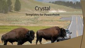  Presentation with rush hour - Audience pleasing theme consisting of their way across the road backdrop and a coral colored foreground