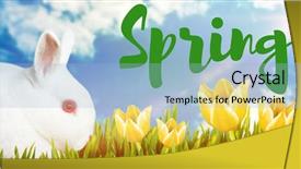  Presentation with easter - Slides having theme skyblue flower - easter greeting against view background and a light blue colored foreground