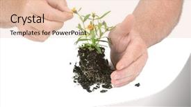  Presentation with caring hands - Cool new theme with themes global warming - gardeners hands caring backdrop and a lemonade colored foreground