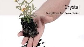  Presentation with holding hands - Slides having themes global warming - gardeners hands holding a new background and a soft green colored foreground