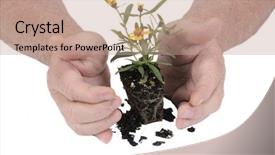  Presentation with new life baby plant - Audience pleasing theme consisting of themes global warming - gardeners hands protecting a new backdrop and a  colored foreground