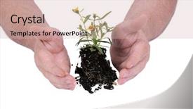  Presentation with seedling - PPT layouts featuring themes global warming - small seedling flower ready background and a  colored foreground
