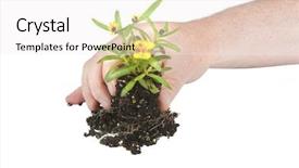  Presentation with seedling - Amazing PPT layouts having themes global warming - small seedling flower ready backdrop and a sky blue colored foreground