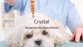  Presentation with alternative medicine - Audience pleasing presentation theme consisting of therapist or vet using pendulum backdrop and a lemonade colored foreground