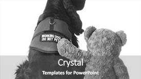  Presentation with therapy dog - PPT theme enhanced with therapy dog sitting beside teddy bear on white background background and a dark gray colored foreground