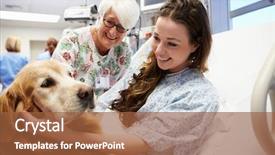  Presentation with therapy dog - Colorful presentation enhanced with patients theraapies - therapy dog visiting young female backdrop and a tawny brown colored foreground