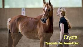  Presentation with horse therapy - Presentation theme enhanced with therapy riding - young woman angry about her background and a tawny brown colored foreground