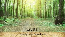  Presentation with wood planks - PPT theme enhanced with thesummer forest with wood background and a yellow colored foreground