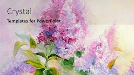  Presentation with lilac bush - Presentation design featuring thickets-of-lilac-bush background and a soft green colored foreground