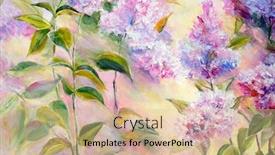  Presentation with lilac bush - Audience pleasing slide deck consisting of thickets-of-lilac-bush backdrop and a soft green colored foreground