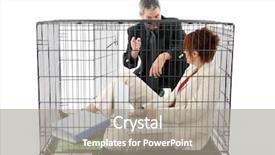  Presentation with business woman standing on maze - Audience pleasing PPT theme consisting of thirty something business woman trapped backdrop and a  colored foreground