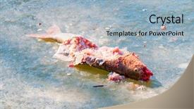  Presentation with breeding - Cool new PPT layouts with this animals is dangerous pest backdrop and a light blue colored foreground