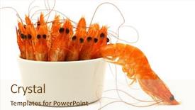  Presentation with population growth fish and shrimp - Colorful presentation theme enhanced with this image won a contest backdrop and a  colored foreground