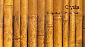  Presentation with yellow wood texture and - Colorful slide set enhanced with this is a real bamboo backdrop and a gold colored foreground