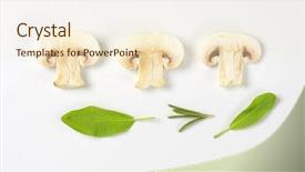  Presentation with sage - Amazing slides having this slices of white mushroom backdrop and a cream colored foreground