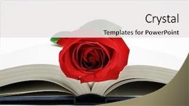  Presentation with thorn - Theme consisting of rose's and book's background and a  colored foreground