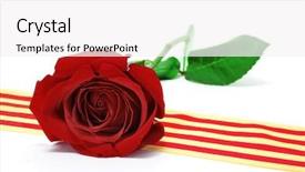  Presentation with thorn - Amazing slides having book thorn - rose's day catalonian tradition backdrop and a  colored foreground