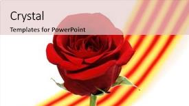  Presentation with war roses tudor rose - Slide deck featuring book thorn - rose's day catalonian tradition background and a  colored foreground