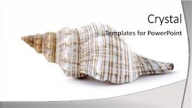  Presentation with thorn - Slides with thorn conch shell isolated background and a  colored foreground