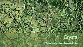  Presentation with bitter - Beautiful theme featuring thorny branches thorns of trifoliate backdrop and a tawny brown colored foreground