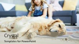  Presentation with dog - PPT theme consisting of thorough - restful sleepy labrador dog lying background and a mint green colored foreground