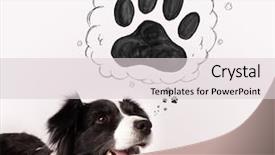  Presentation with paw - PPT theme featuring thought bubble above her head background and a lemonade colored foreground