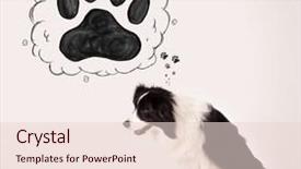  Presentation with paw - PPT layouts having thought bubble above her head background and a  colored foreground