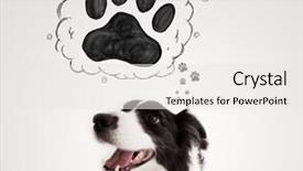  Presentation with paw - Audience pleasing presentation design consisting of thought bubble above her head backdrop and a  colored foreground