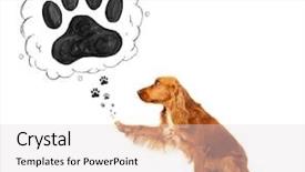  Presentation with paw - Audience pleasing presentation theme consisting of thought bubble above her head backdrop and a lemonade colored foreground