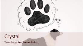  Presentation with paw - PPT theme featuring talent identification - be original text concept isolated background and a pink colored foreground