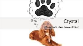  Presentation with paw - Slide deck consisting of thought bubble above her head background and a  colored foreground