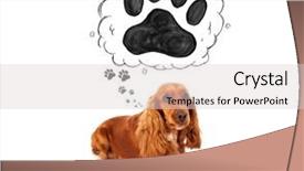  Presentation with paw - PPT theme having thought bubble above her head background and a  colored foreground