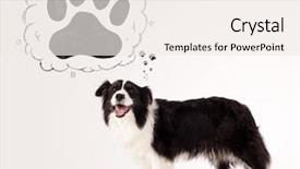  Presentation with border - Colorful slide deck enhanced with thought bubble above her head backdrop and a sky blue colored foreground