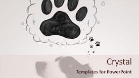  Presentation with paw - PPT theme enhanced with thought bubble above her head background and a lemonade colored foreground