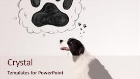  Presentation with border - Cool new presentation theme with thought bubble above her head backdrop and a  colored foreground