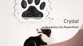  Presentation with paw - Presentation theme having thought bubble above her head background and a  colored foreground