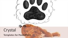  Presentation with paw - Theme having thought bubble above her head background and a  colored foreground