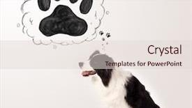  Presentation with paw - Beautiful theme featuring thought bubble above her head backdrop and a lemonade colored foreground