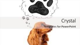  Presentation with paw - Amazing presentation design having thought bubble above her head backdrop and a  colored foreground